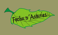 FECHU N´ASTURIES S.L.